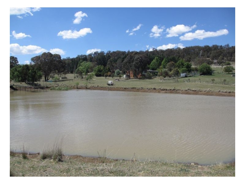 133. Mount Mitchell Road, Invergowrie NSW 2350