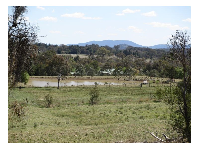 133. Mount Mitchell Road, Invergowrie NSW 2350