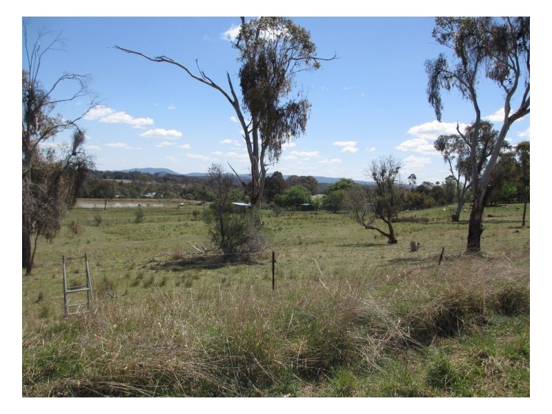 133. Mount Mitchell Road, Invergowrie NSW 2350