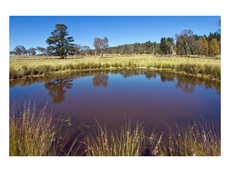 559. Castledoyle, Armidale NSW 2350