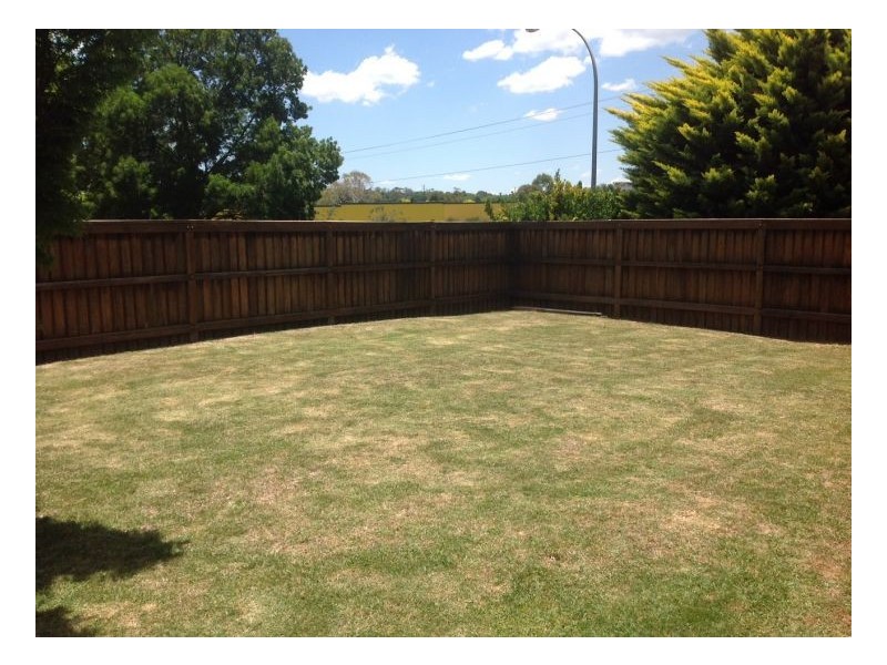 1. Phyllis, Armidale NSW 2350