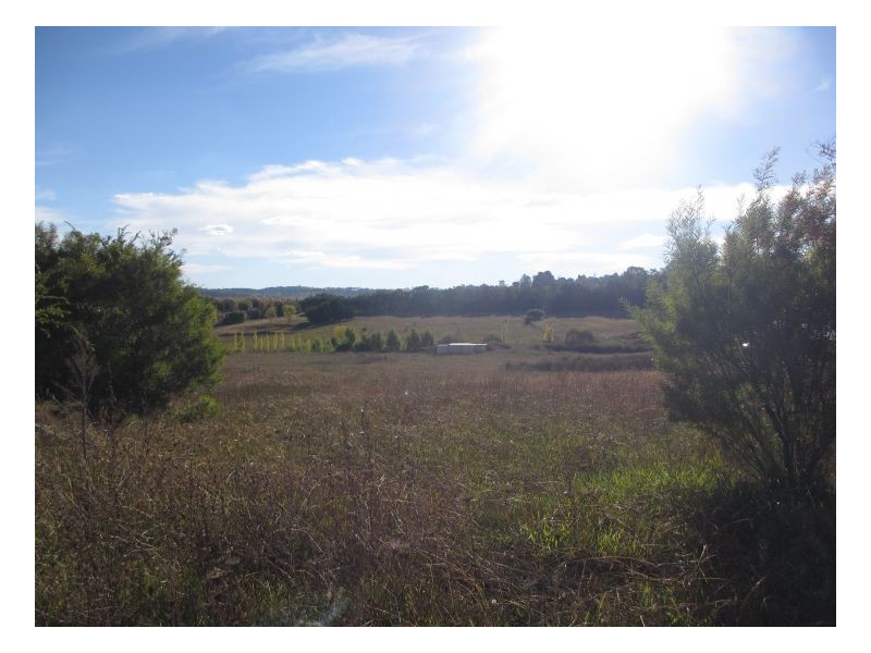 Armidale NSW 2350