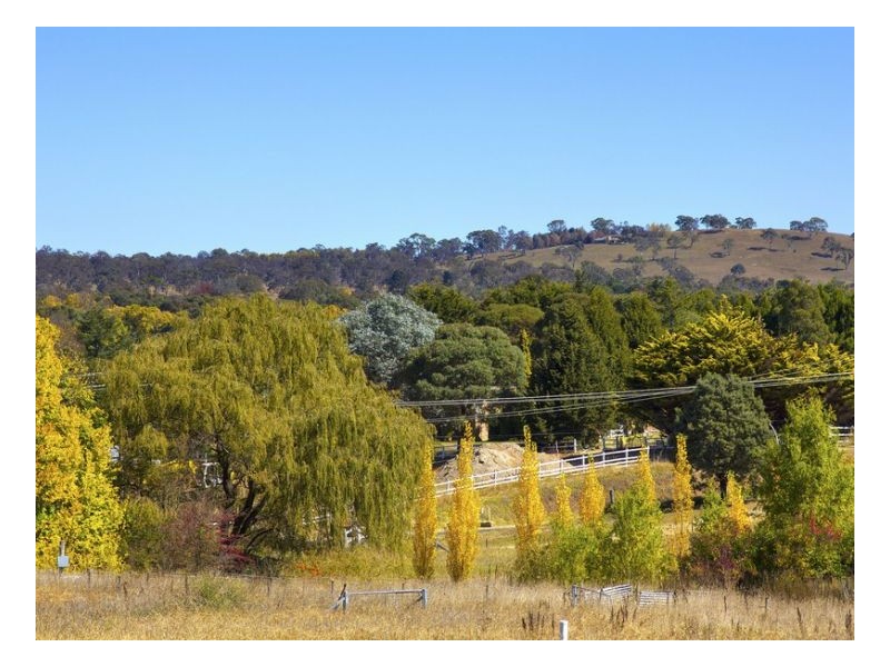 17 Cluny Road, Armidale NSW 2350