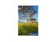 Lot 204 Old Gostwyck Park, Armidale NSW 2350