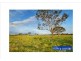 Lot 205 Old Gostwyck Park, Armidale NSW 2350