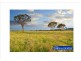 Lot 205 Old Gostwyck Park, Armidale NSW 2350