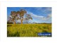 Lot 206 Old Gostwyck Park, Armidale NSW 2350
