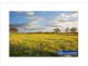 Lot 206 Old Gostwyck Park, Armidale NSW 2350