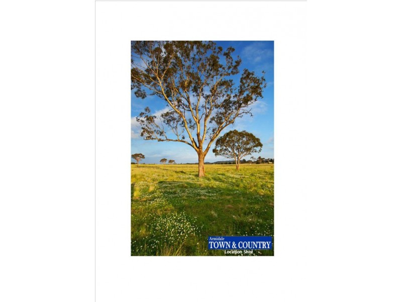 Lot 206 Old Gostwyck Park, Armidale NSW 2350