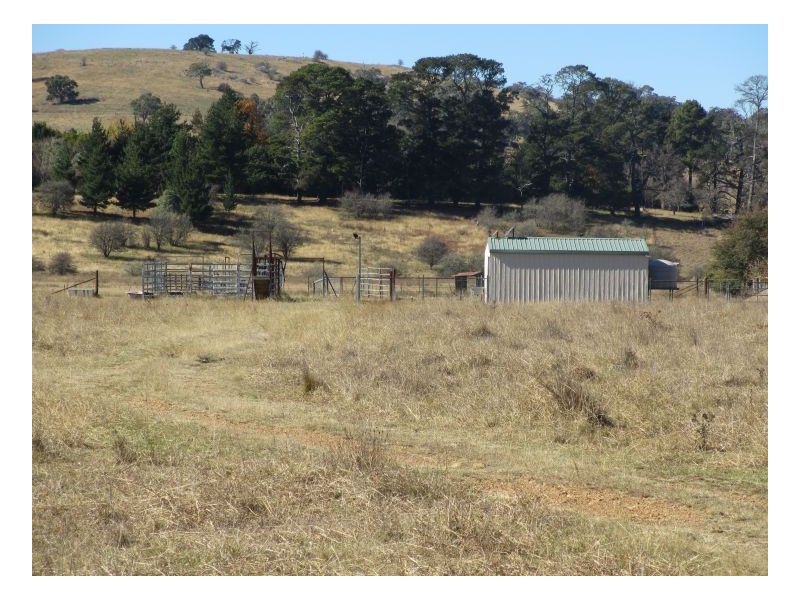 Saumarez Ponds NSW 2350