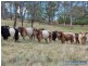 333 Apple Tree Hill, Armidale NSW 2350