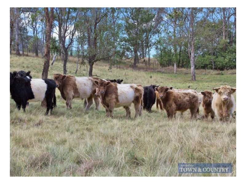 333 Apple Tree Hill, Armidale NSW 2350