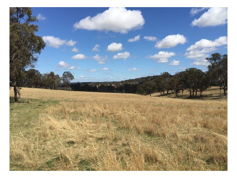 244 Donald Road, Armidale NSW 2350