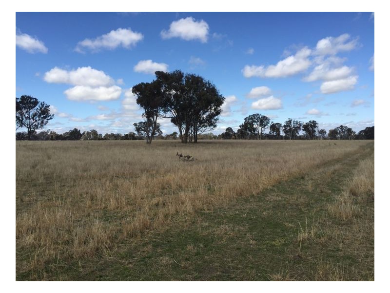 244 Donald Road, Armidale NSW 2350