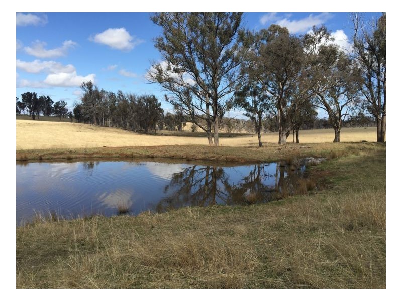 244 Donald Road, Armidale NSW 2350