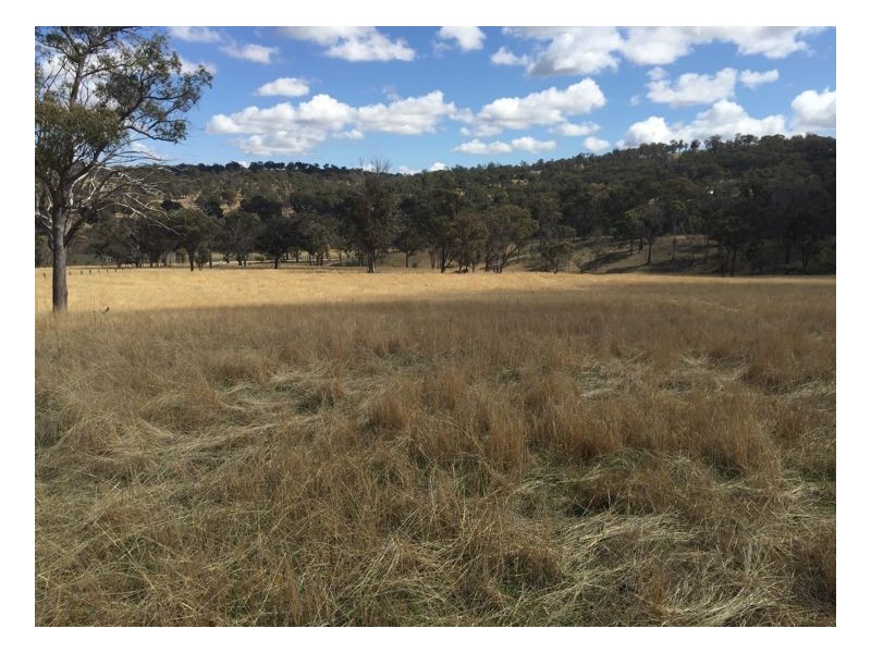 244 Donald Road, Armidale NSW 2350