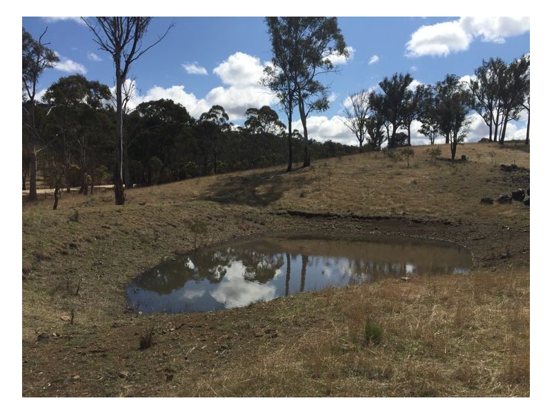 244 Donald Road, Armidale NSW 2350