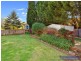 31 Murray Avenue, Armidale NSW 2350