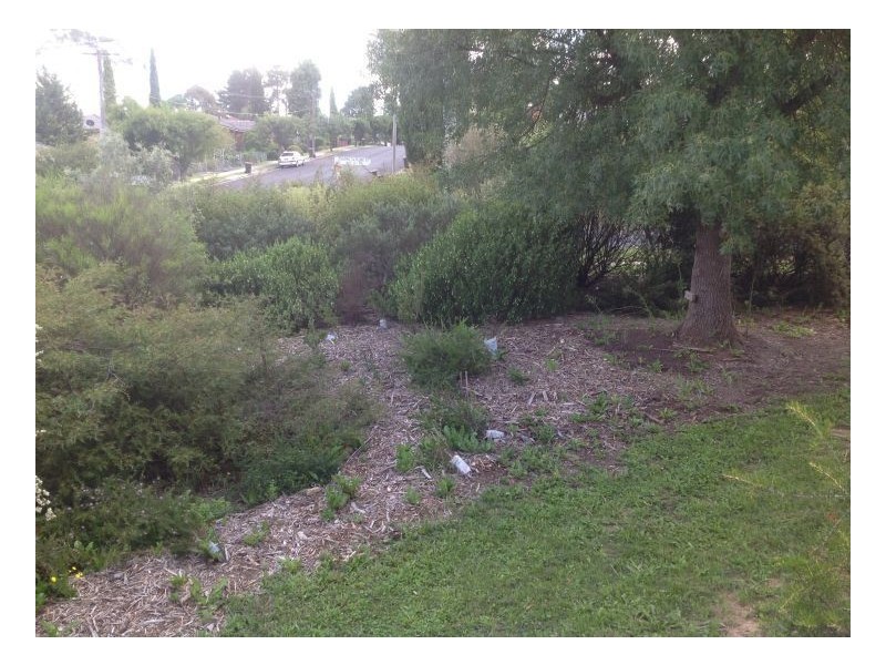 17. O’dell Street, Armidale NSW 2350
