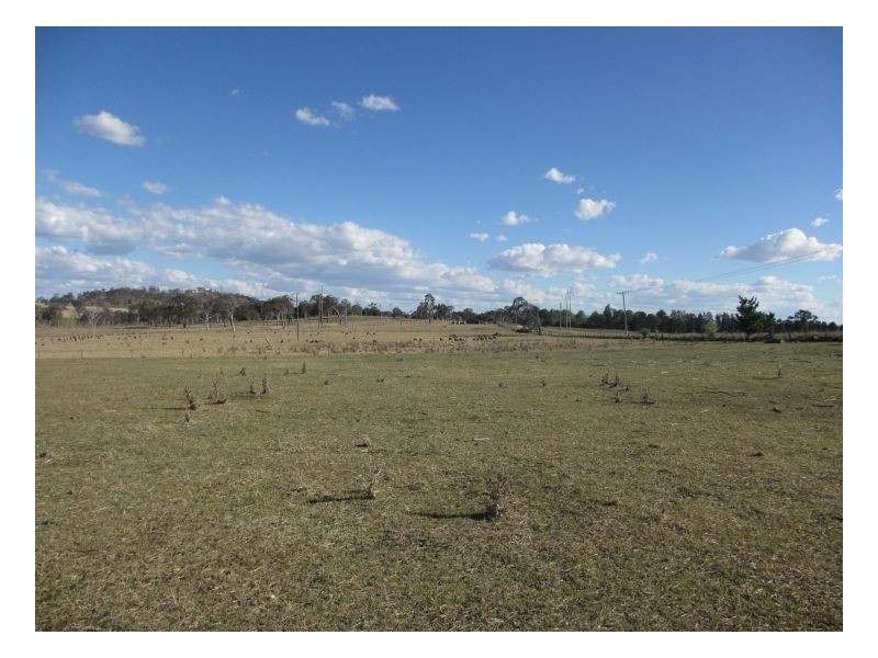 Armidale NSW 2350