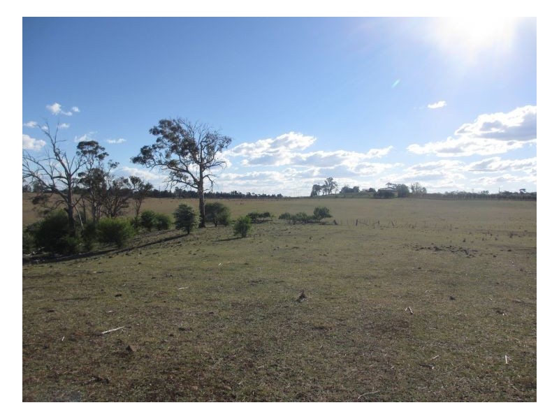 Armidale NSW 2350