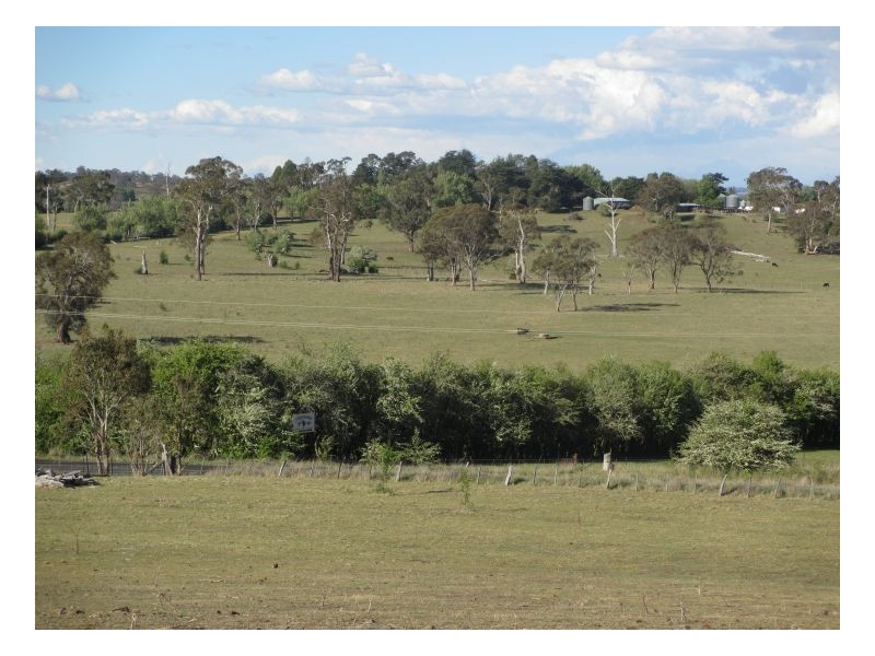 Armidale NSW 2350