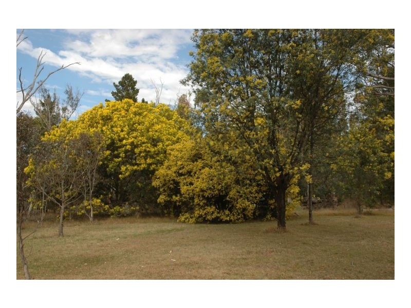 19 Rowlands, Armidale NSW 2350