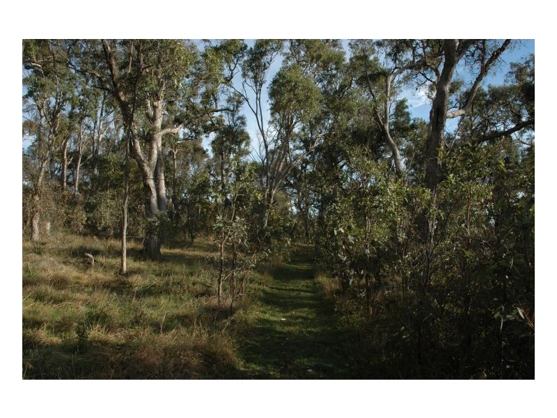 19 Rowlands, Armidale NSW 2350