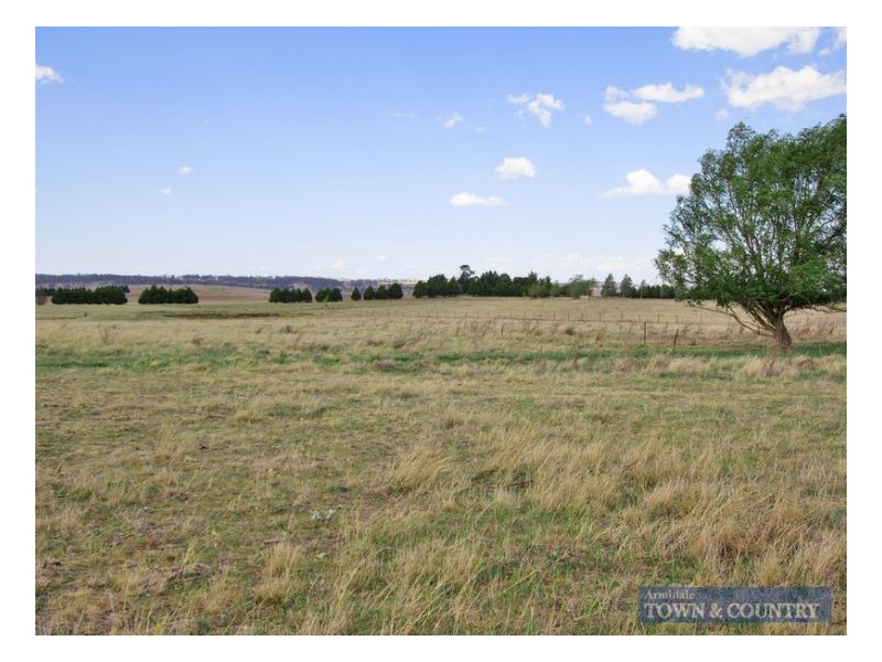 911 Castledoyle Road, Armidale NSW 2350