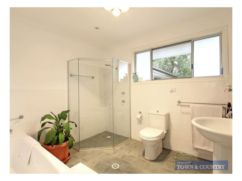 19 Chestnut Avenue, Armidale NSW 2350