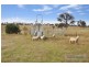 90 Milne Road, Armidale NSW 2350