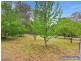 454 Castledoyle Road, Armidale NSW 2350