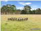 11247 New England Highway, Armidale NSW 2350