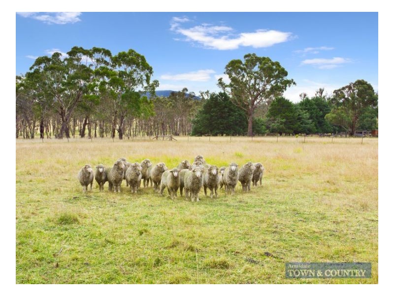 11247 New England Highway, Armidale NSW 2350