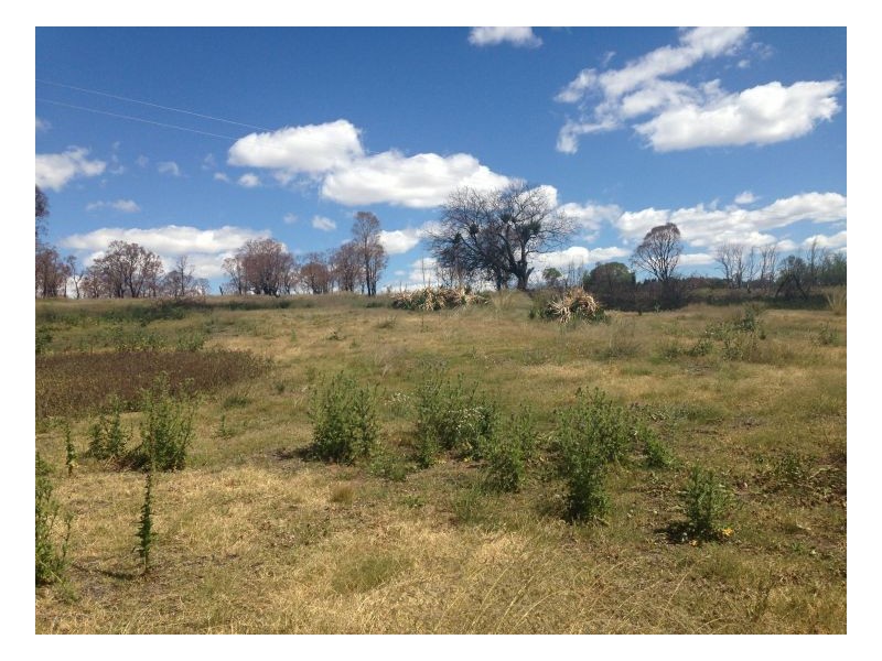 10 Maitland Point Road, Armidale NSW 2350