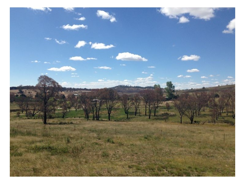 10 Maitland Point Road, Armidale NSW 2350