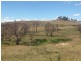 10 Maitland Point Road, Armidale NSW 2350