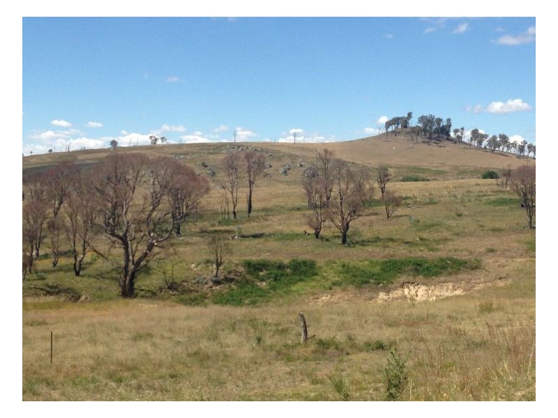 10 Maitland Point Road, Armidale NSW 2350