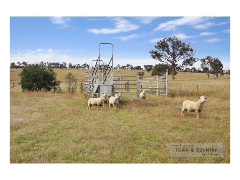 90 Milne Road, Armidale NSW 2350