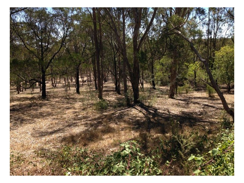 46 Tabulum Road, Armidale NSW 2350