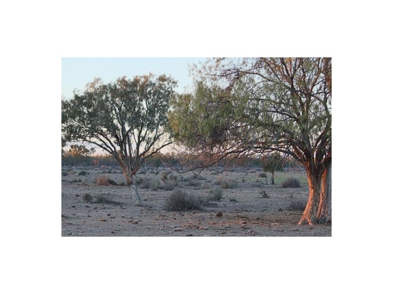 “Part Lorne”, Lightning Ridge NSW 2834