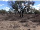 “Part Lorne”, Lightning Ridge NSW 2834