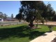 19 Fantasia Street, Lightning Ridge NSW 2834
