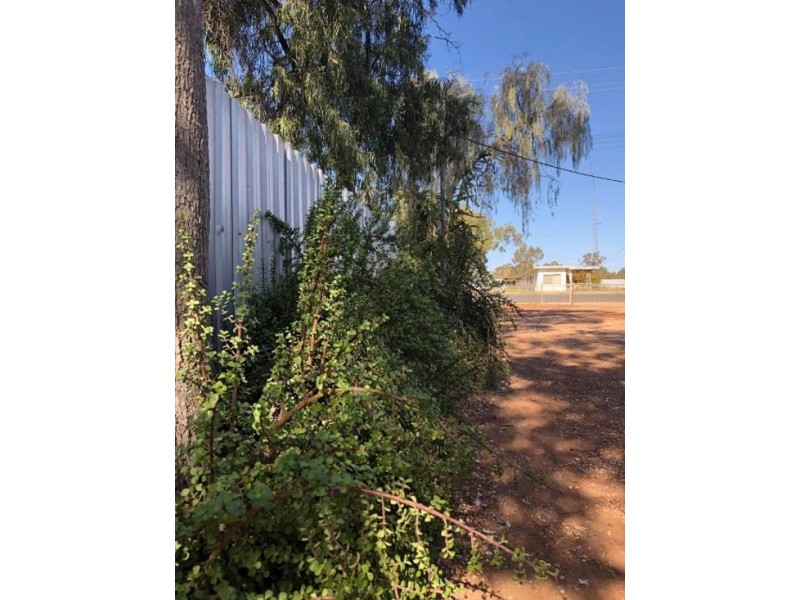 63 Morilla Street, Lightning Ridge NSW 2834