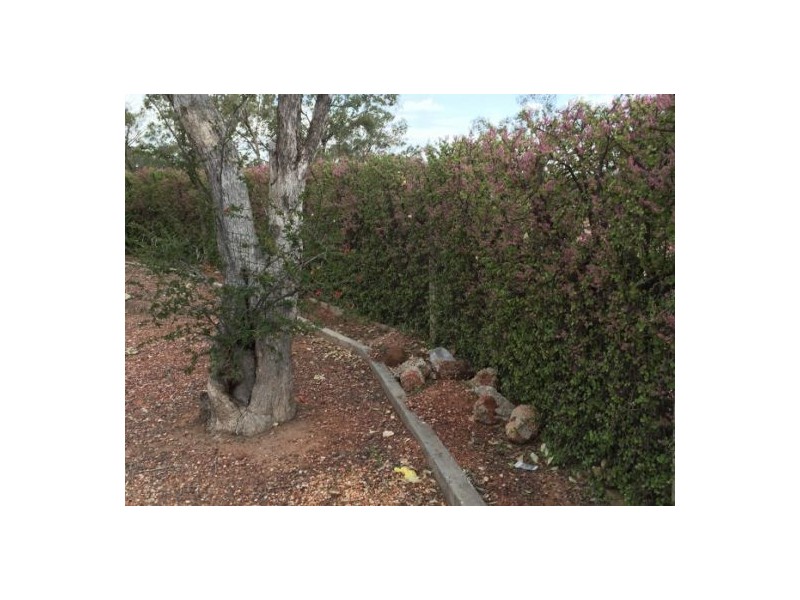 16362 Potch Point Opal Field, Lightning Ridge NSW 2834