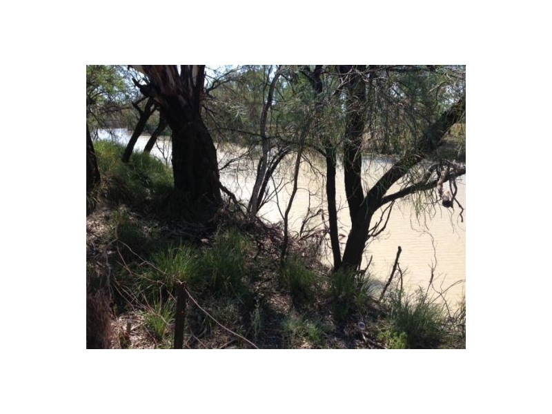 15-19 Maitland Street, Collarenebri NSW 2833