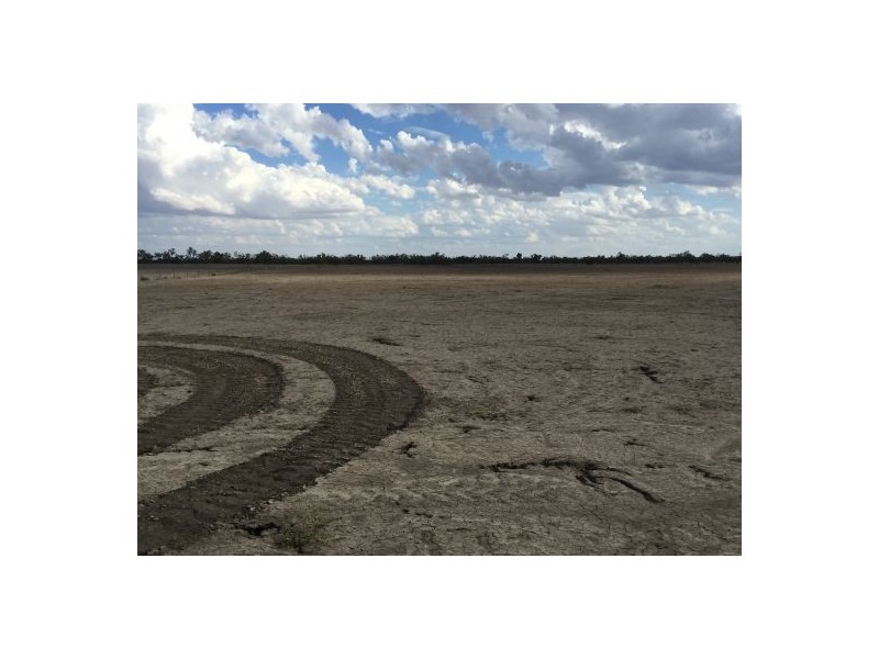 “Kulleen”, Walgett NSW 2832