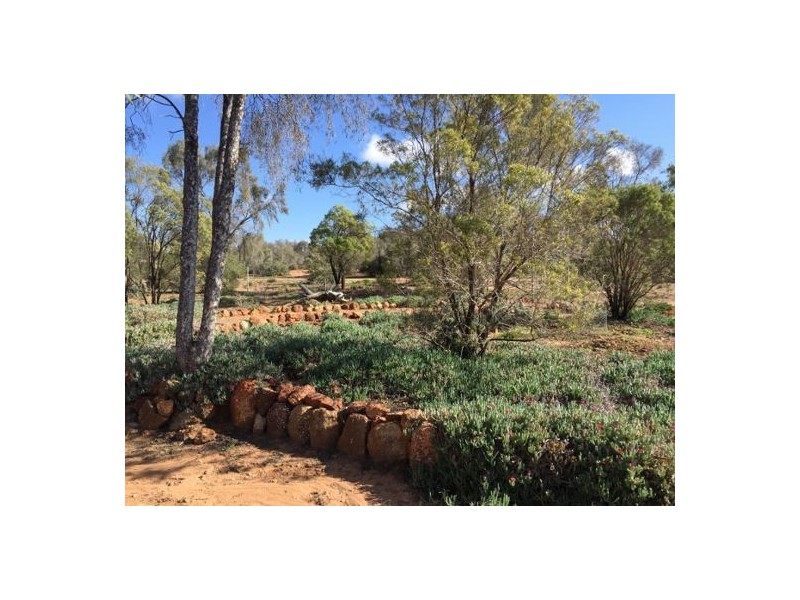 “Bagala” WLL 16180 and 16181, Lightning Ridge NSW 2834