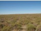 “Benelkay Aggregation”, Walgett NSW 2832