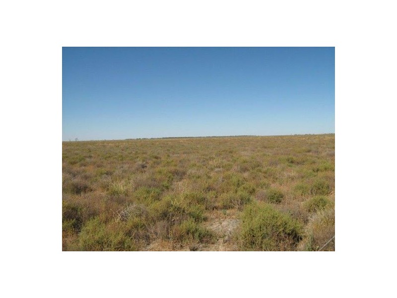 “Benelkay Aggregation”, Walgett NSW 2832